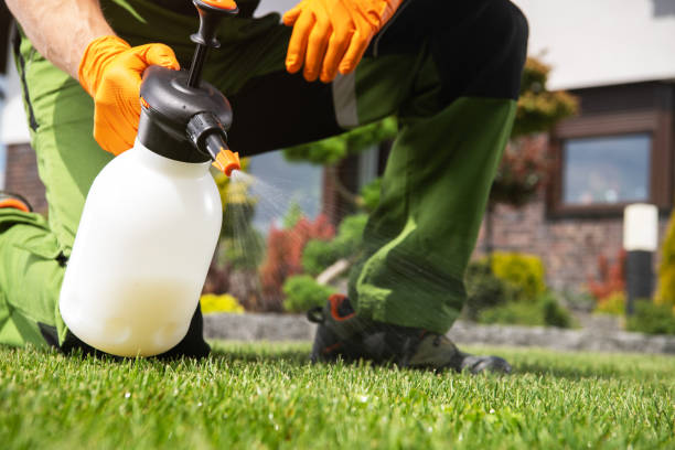 Best Residential Pest Control  in Ranchettes, WY