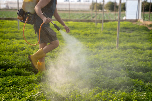 Best Local Pest Control Services  in Ranchettes, WY
