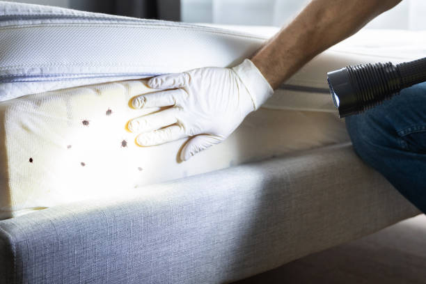 Best Wildlife Control Services  in Ranchettes, WY