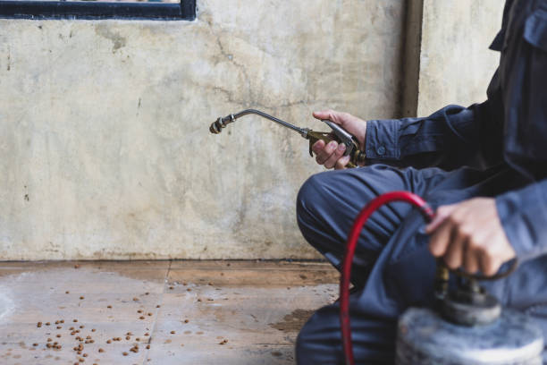 Best Emergency Pest Control  in Ranchettes, WY